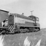 Colorado River Western Railway SW900 201